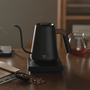 Kettle Fish Pro X - Svart elektrisk - Timemore