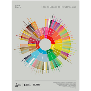 Portugisisk kaffeprovares smakhjulsaffisch -SCA