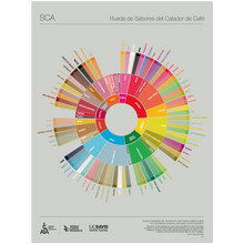 Spanska - The Coffee Taster's Flavour Wheel Poster -SCA