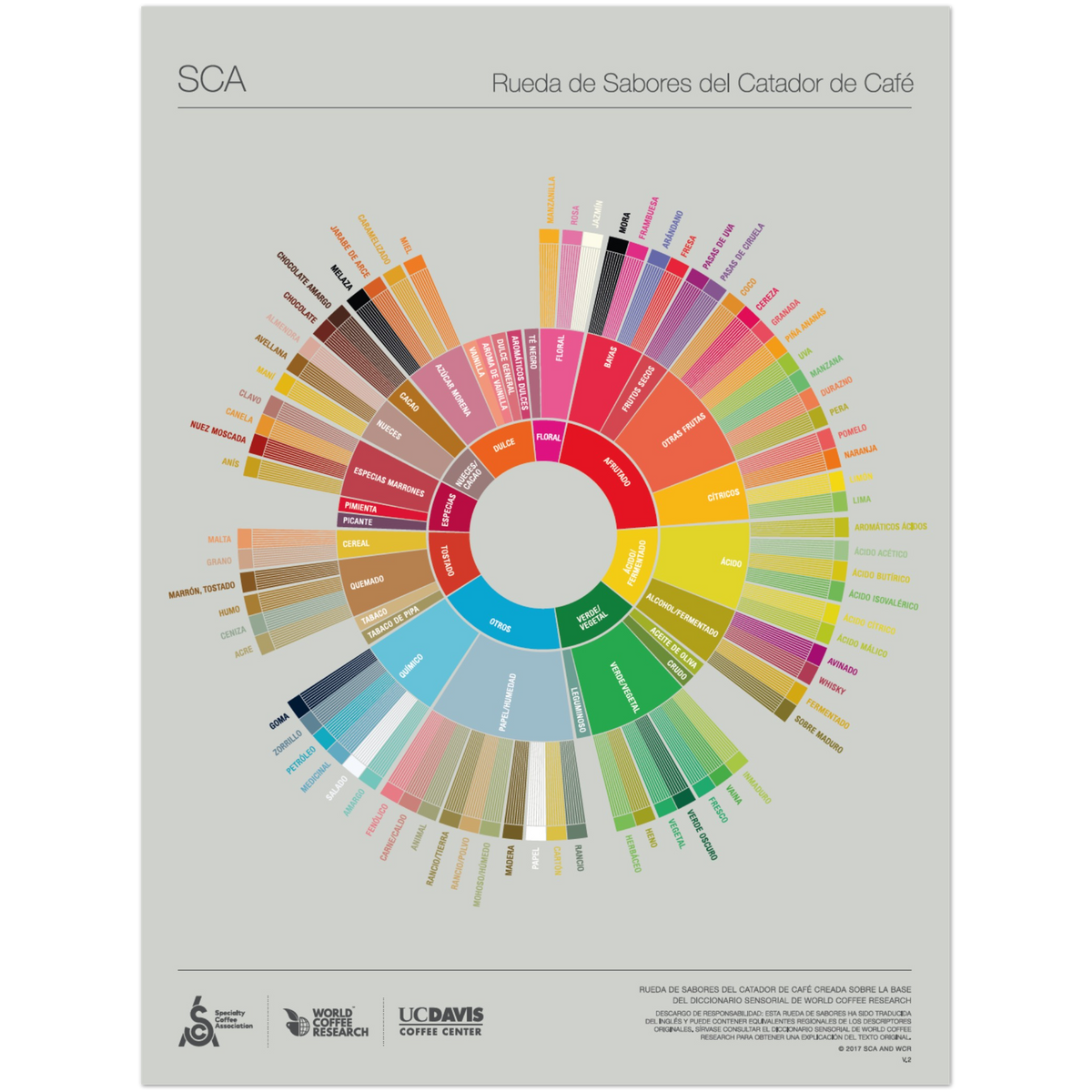 Spanska - The Coffee Taster's Flavour Wheel Poster -SCA
