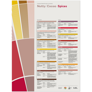 Flavor Perception in Coffee Poster – Nutty Cocoa Spices- SCA