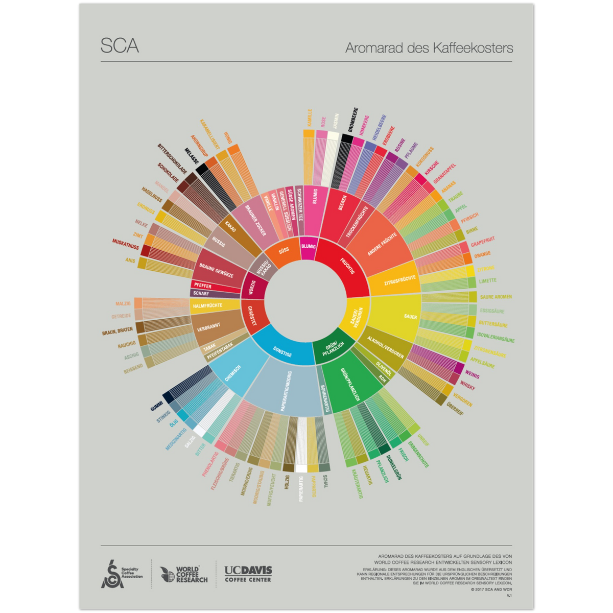 Tyska - The Coffee Taster's Flavour Wheel Poster - SCA