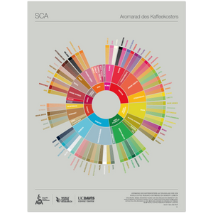 German - The Coffee Taster's Flavor Wheel Poster - SCA