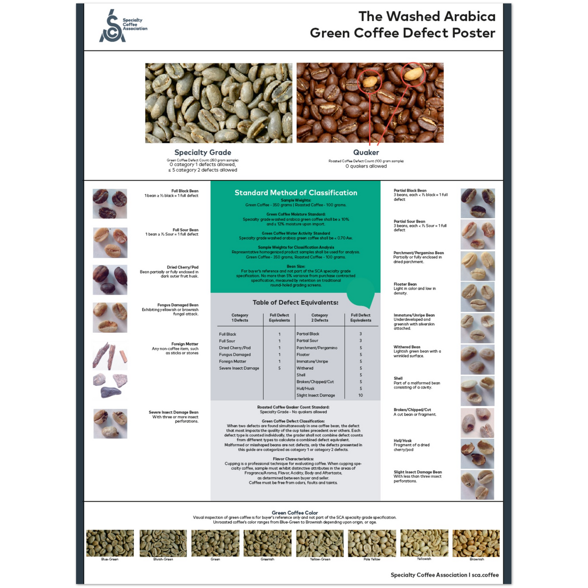 Arabica Poster - Engelska - SCA