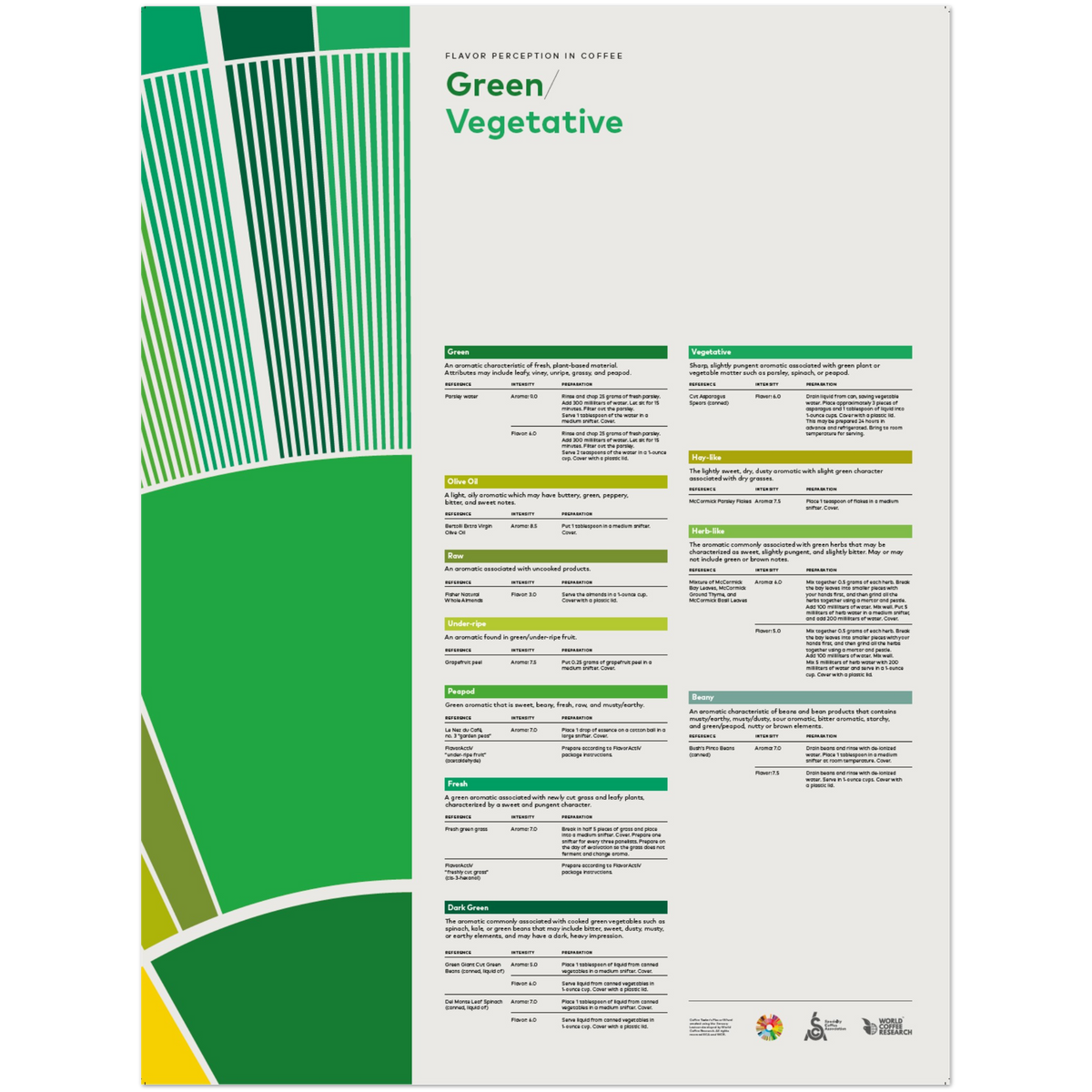 Smakuppfattning i kaffe – Green Veg -SCA