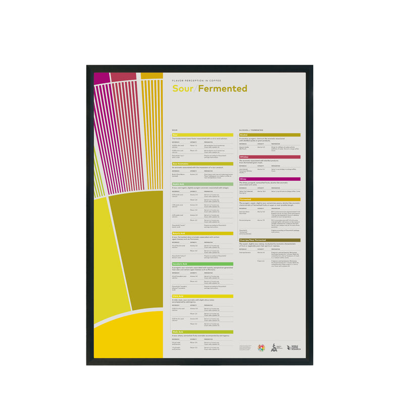 Flavor Perception in Coffee Poster – Sour Fermented- SCA