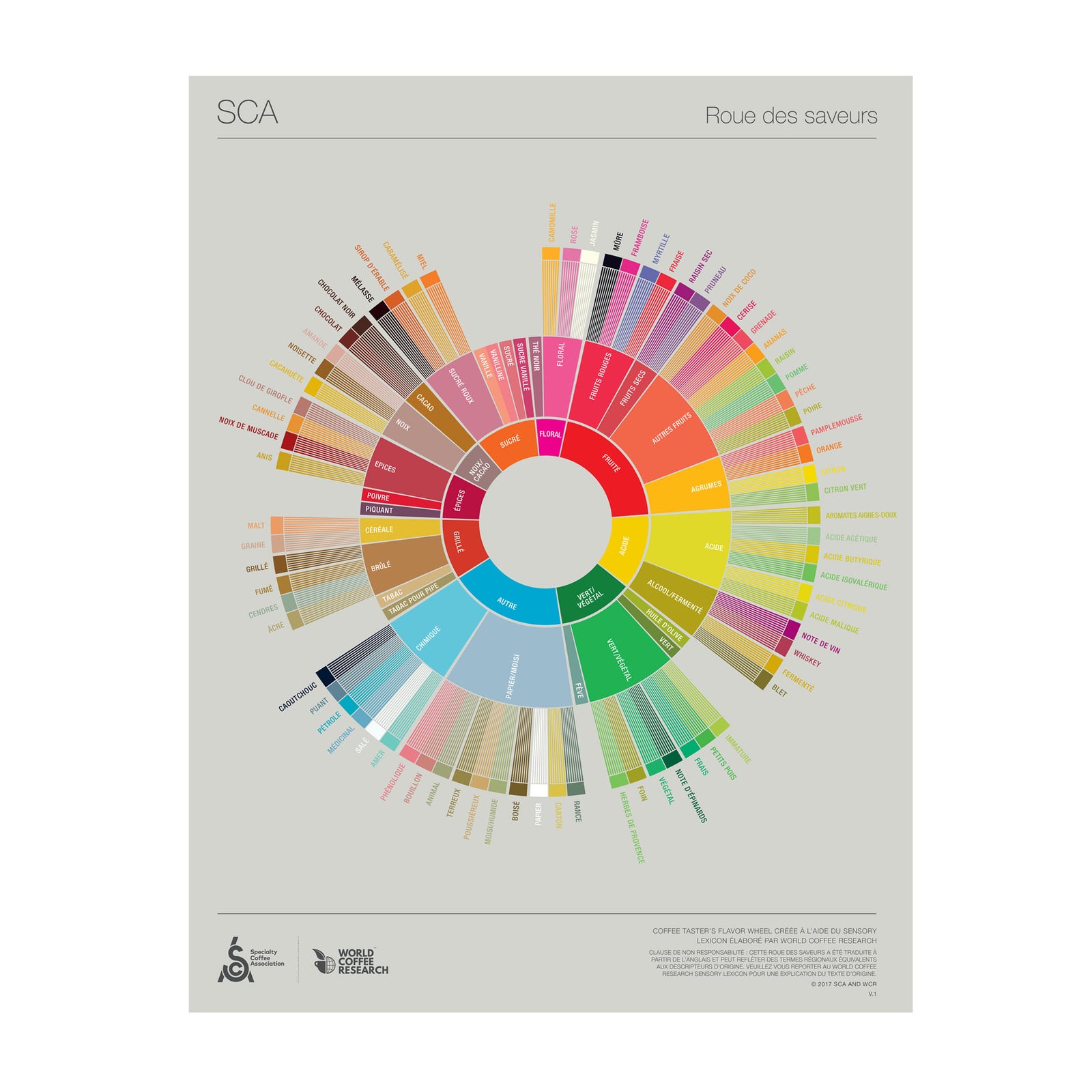 Franska - Coffee Taster's Flavour Wheel Poster -SCA