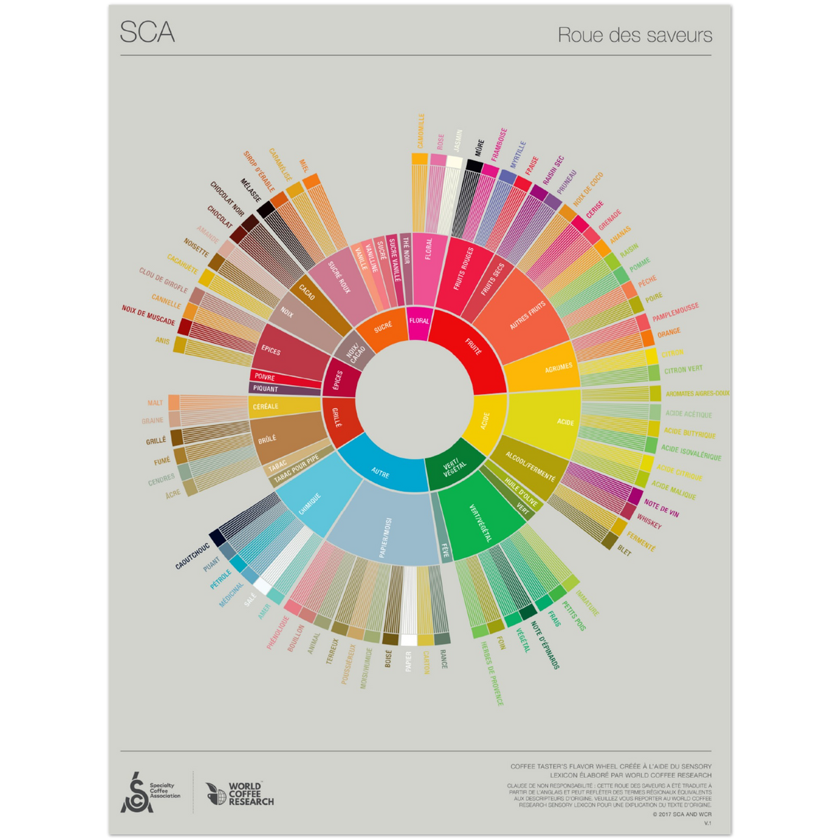 Franska - Coffee Taster's Flavour Wheel Poster -SCA